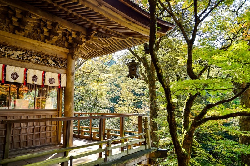 Japanese Cuisine